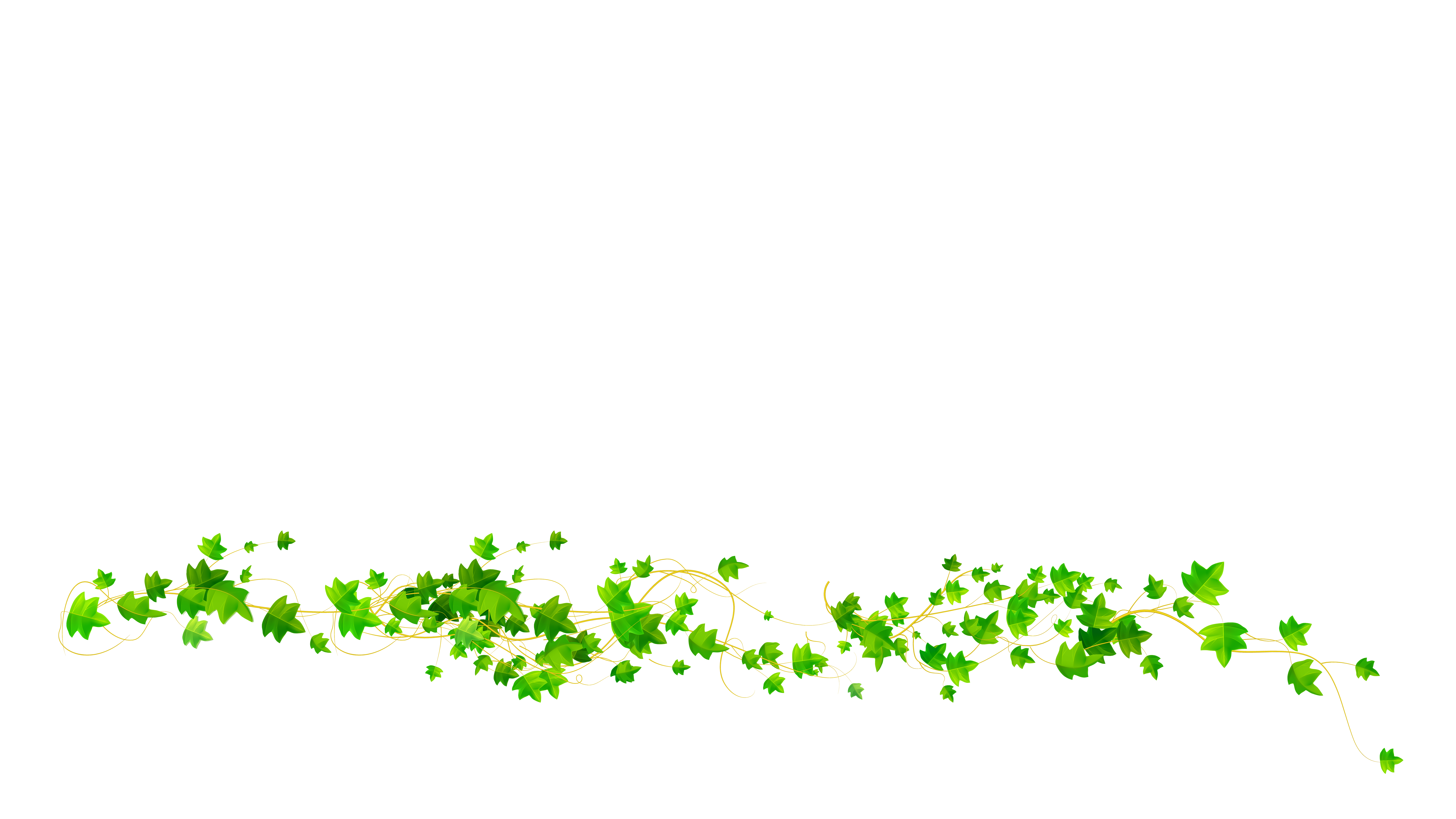 Bottom Overlay image