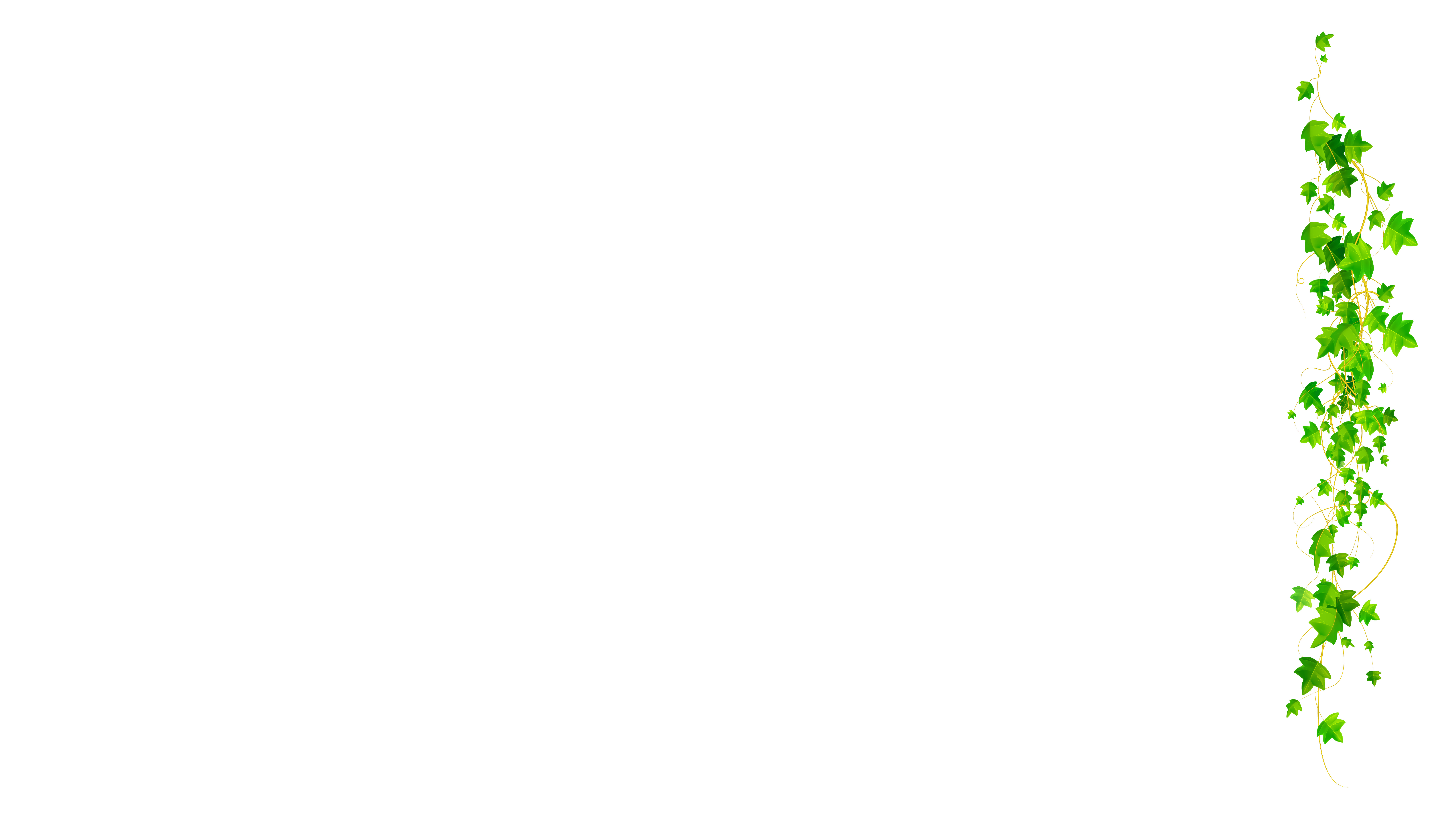 Second Side Overlay image